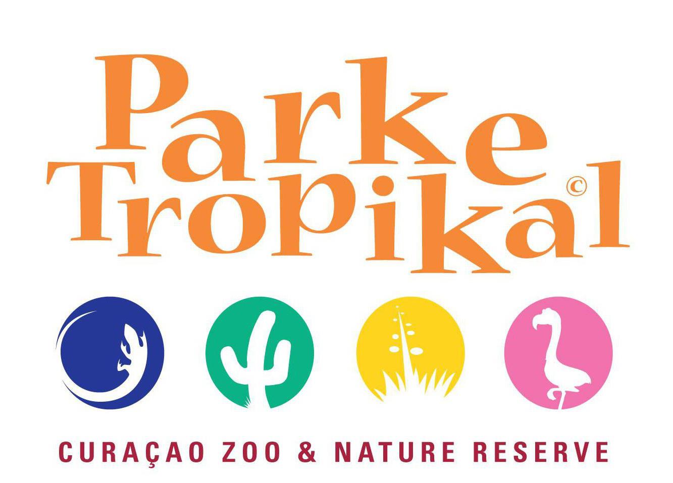 Direktiva Fundashon Parke Tropikal ta keda positivo