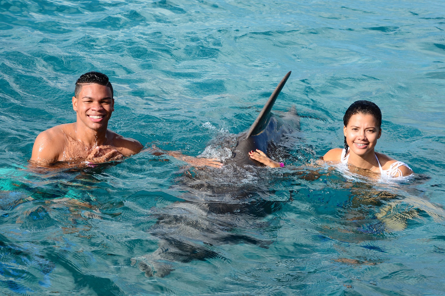 “Dolphin Academy Curaçao ku deskuento pa gruponan lokal.”
