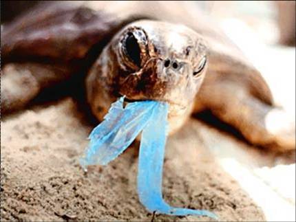 Inzamelingsactie van plastic zakken door Curacao Clean Up en Green Force