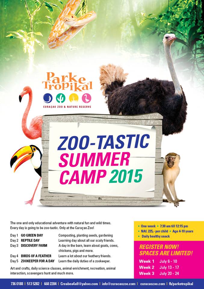 FAKANSI 2015 ta na PARKE TROPIKAL bo mester ta! Zoovie Picnic Night  tur djasabra den Fakansi