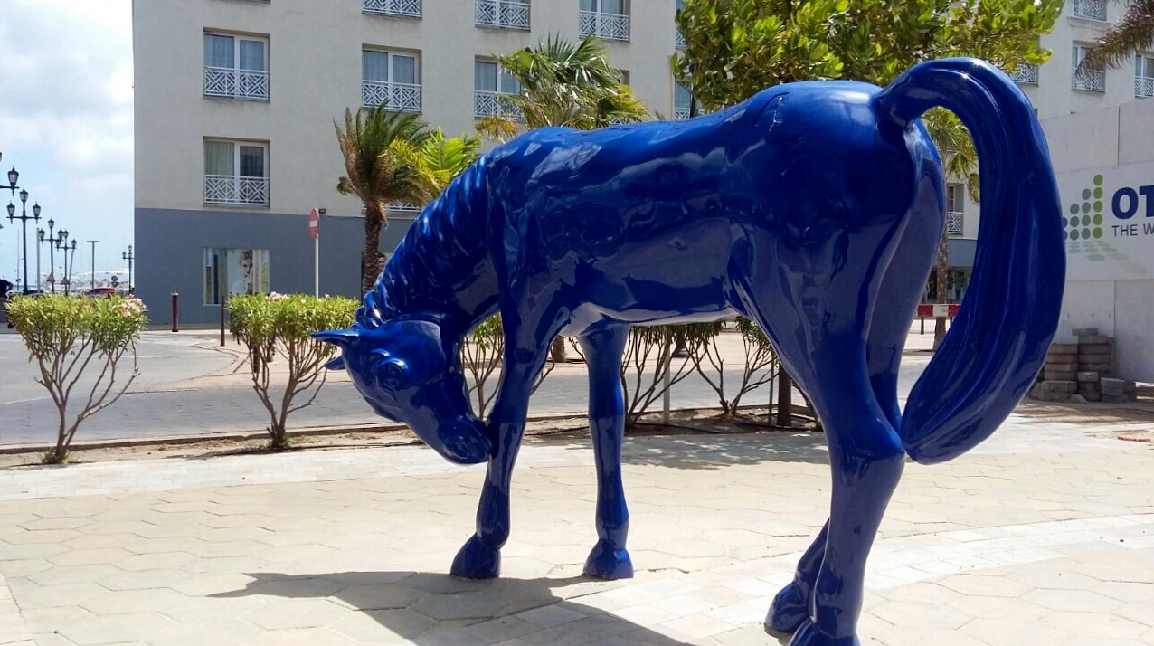 Ehecucion di proyecto Paardenbaai ta continua  Cera Conoci cu Ambrosio
