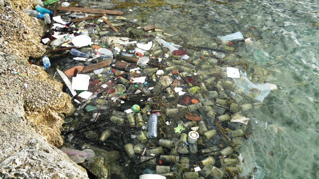 Handtekeningenactie tegen niet herbruikbaar plastic een succes