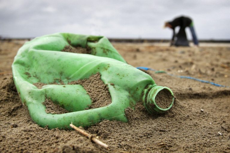 WIJK AAN ZEE-STRANDOPRUIMEN-KUSTLIJN