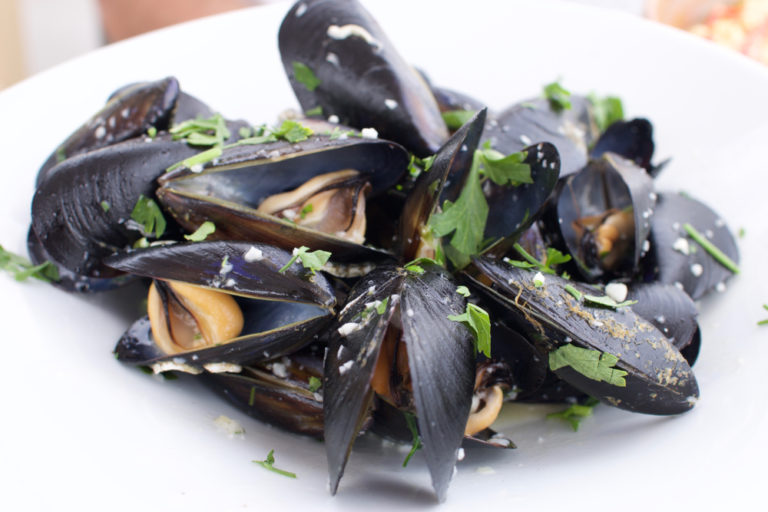 Mussels_Infinity2