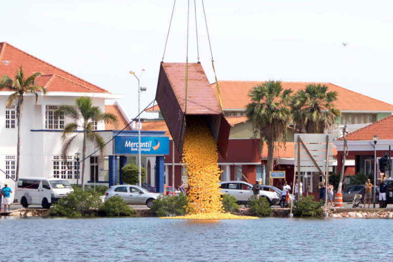 Storting ducks