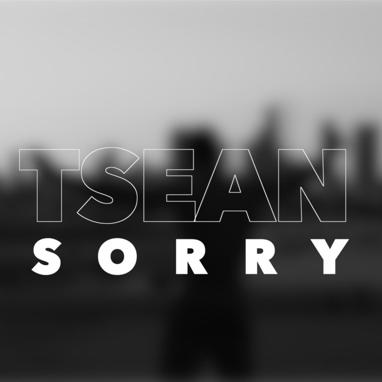 TSeaN - Sorry Artwork