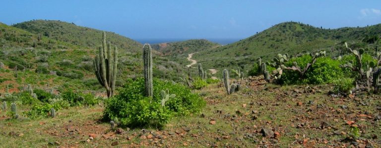 Aruba Nature