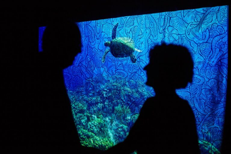 Ocean Inside installation 1