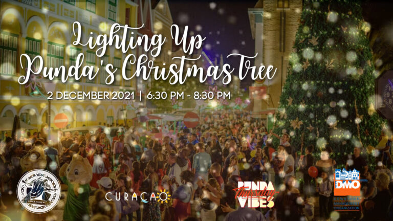 Lighting Up Punda's Christmas Tree (1) copy
